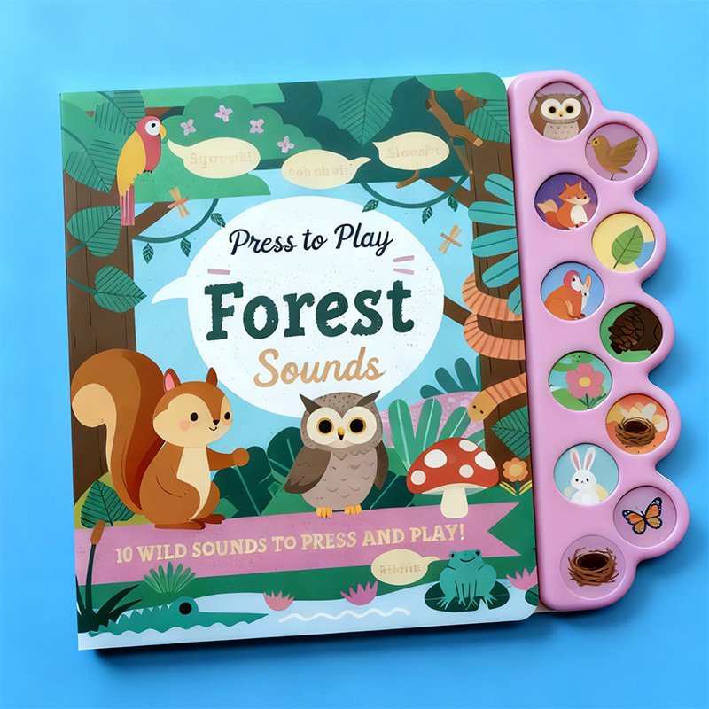 Auditory Sensory Book