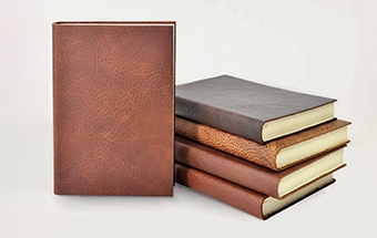 Journal